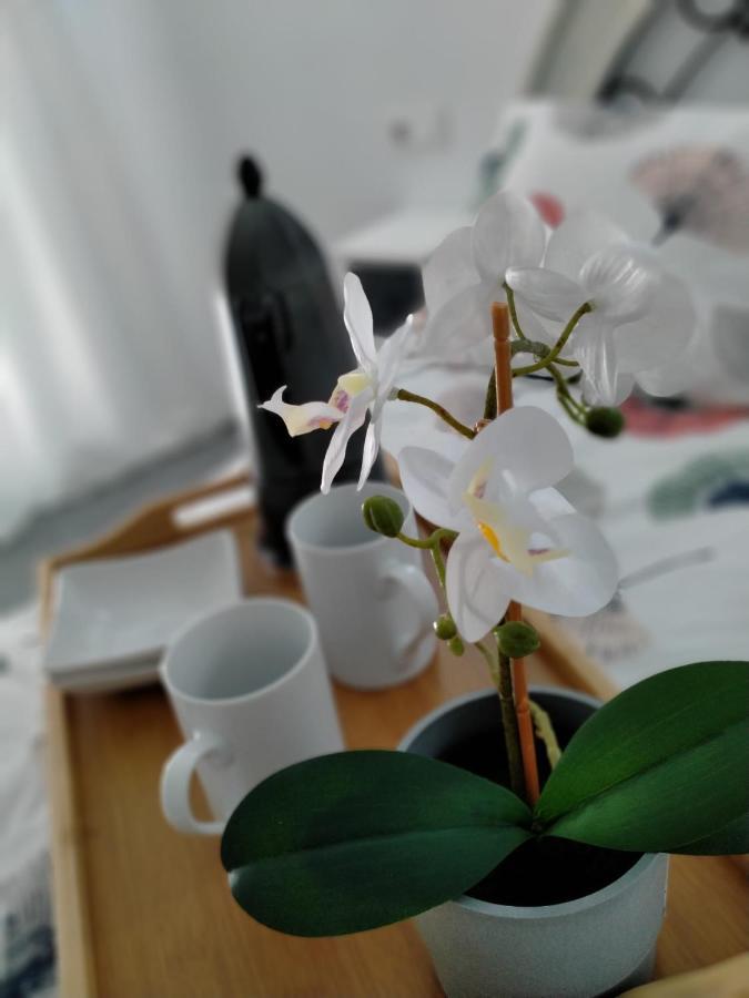 Precioso Loft En Conil De La Frontera Apartment Екстериор снимка